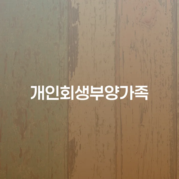 함안군 개인회생 개인회생으로 방법 다른방법이