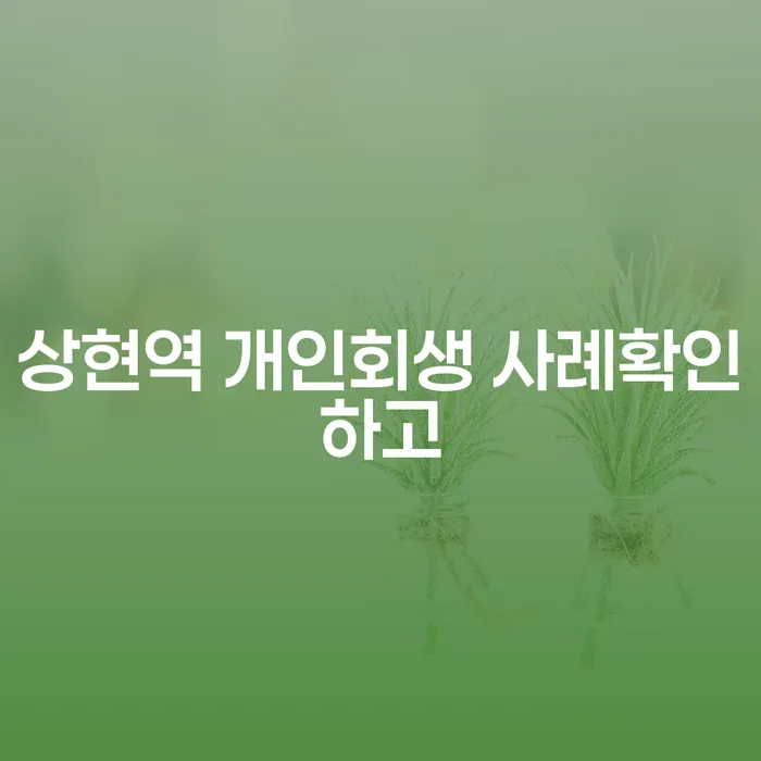 상현역 개인회생 사례확인하고